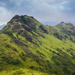 Wayanad tour image 3