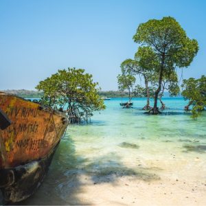 andaman tour image 1