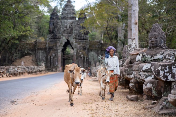 Cambodia Siem Reap Tour Image 5
