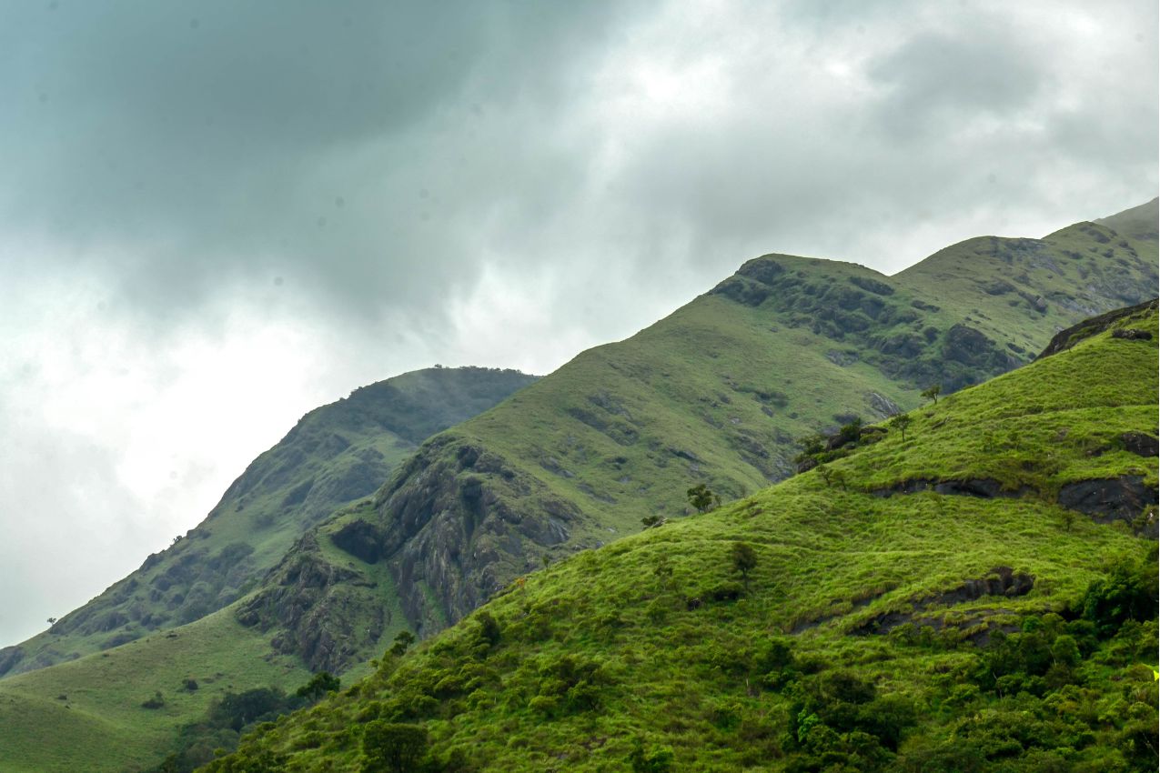 Topslip, Parambikulam & Valparai Tour Packages - Grass Hills Holidays