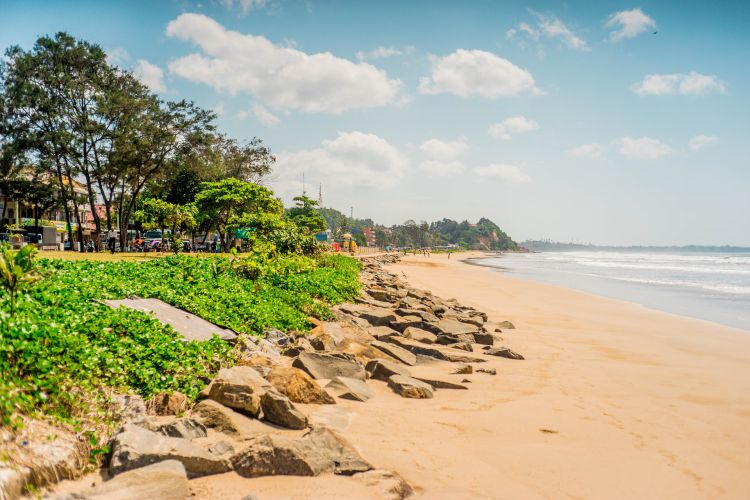 Sri Lanka Bentota Tour Image 6